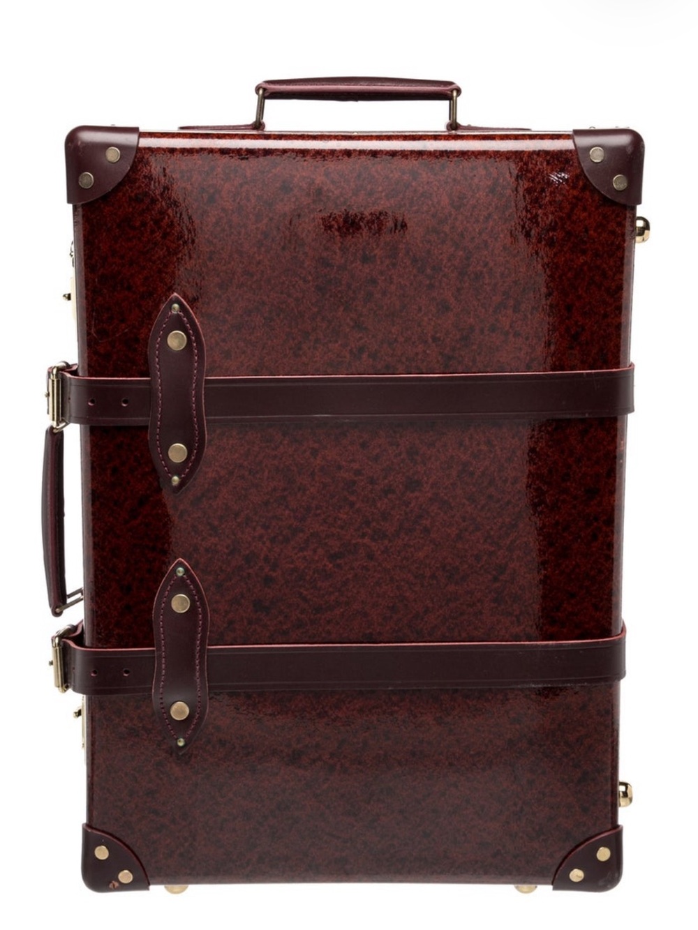 Leather Travel Trunk